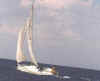 sailin2.jpg (13410 bytes)